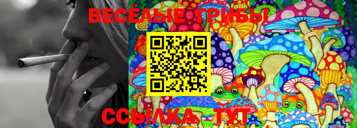 Псилоцибиновые грибы GOLDEN TEACHER  Вход с VPN  Псилоцибиновые грибы MAGIC MUSHROOMS  Стрежевой 